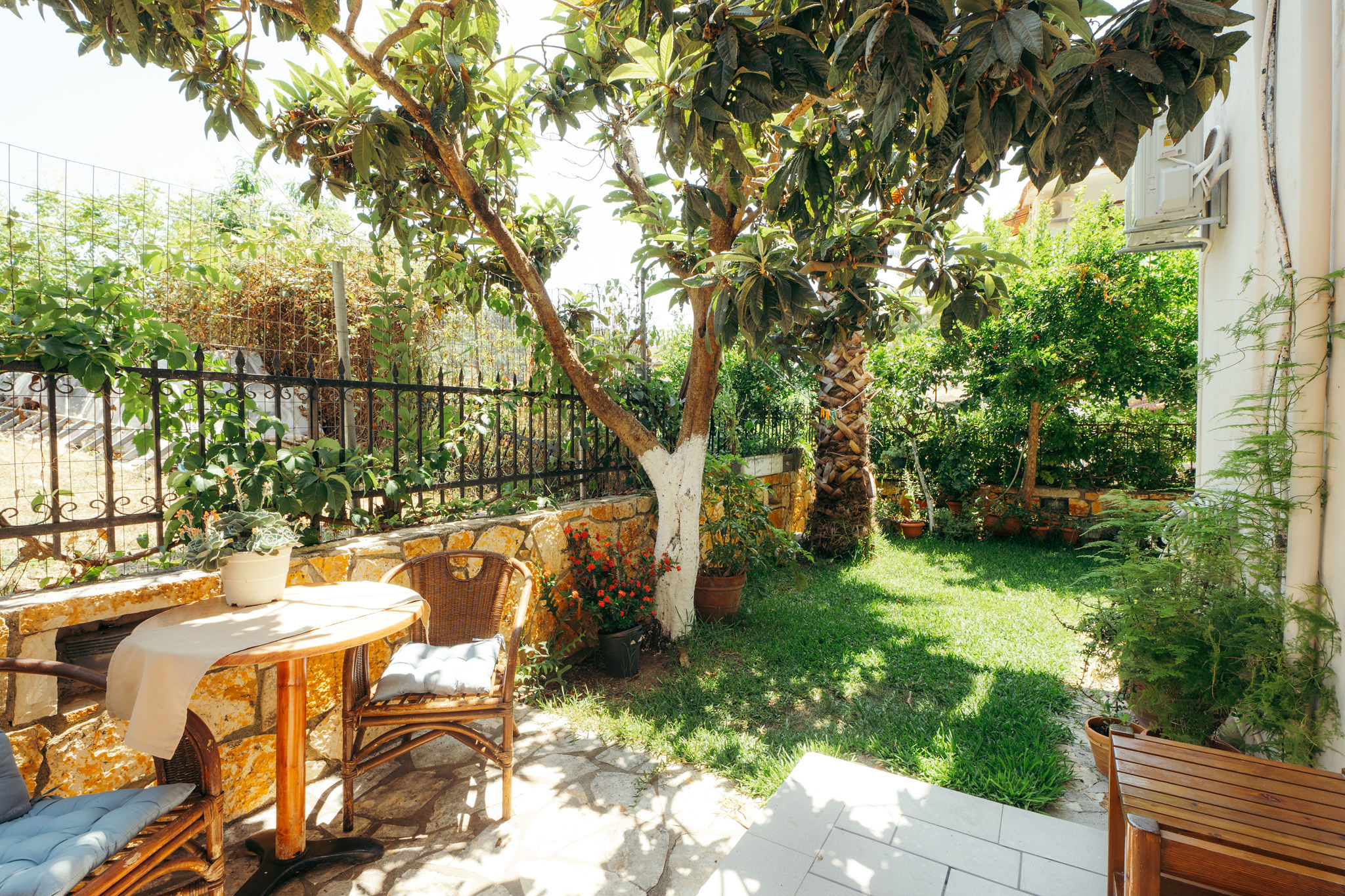 DOUKAS 2 — φωτογραφία 6